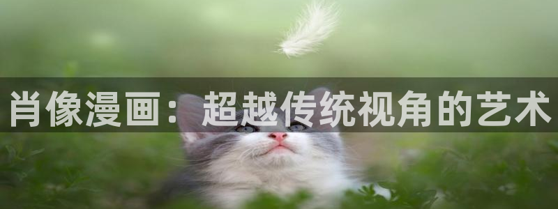 香蕉漫画破解版：肖像漫画：超越传统视角的艺术