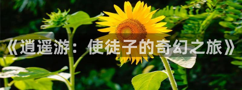 香蕉漫画书免费阅读下拉：《逍遥游：使徒子的奇幻之旅》